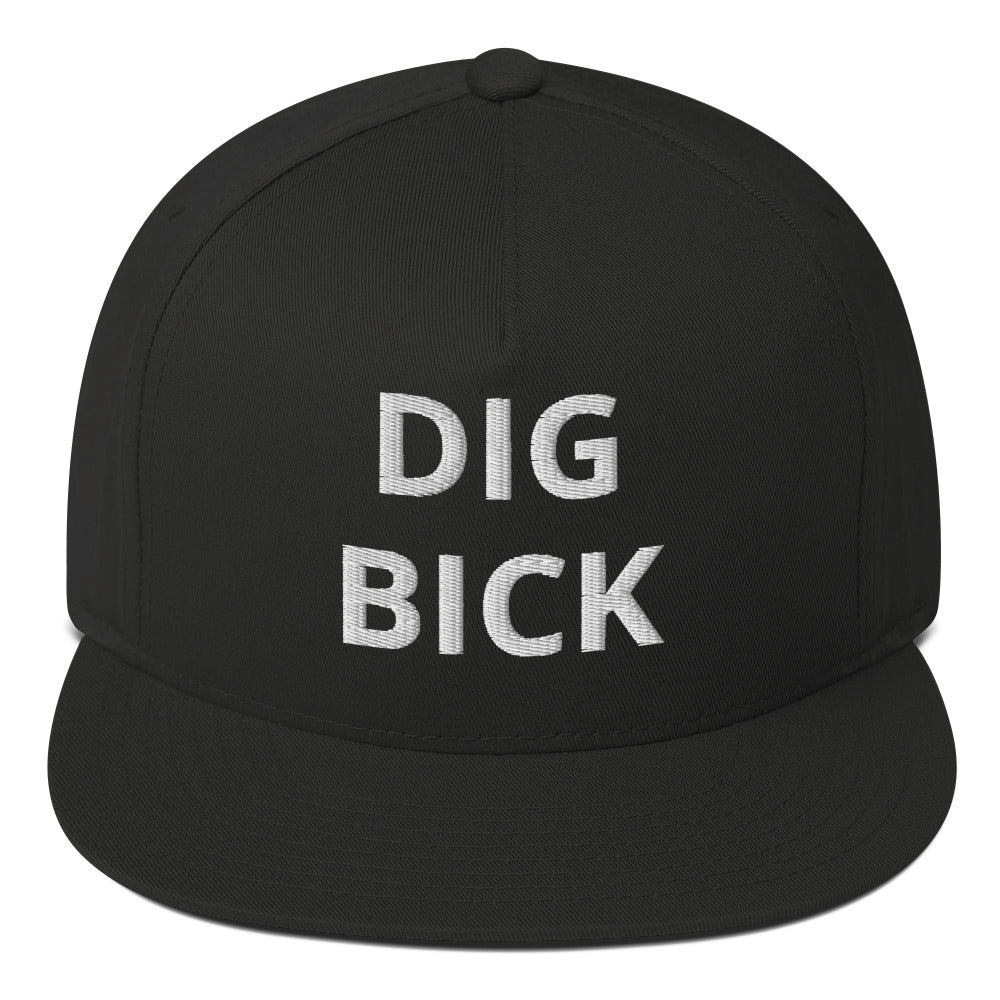 Nasty Tee's Dig Bick spoonerism flat bill cap, skull badge graphic, unisex